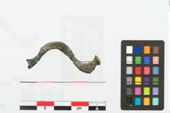Foto von Bronzecertosafibel (NHMW-PRAE-078063)